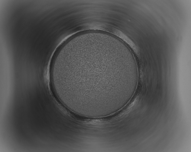 X0000101991028200808011057