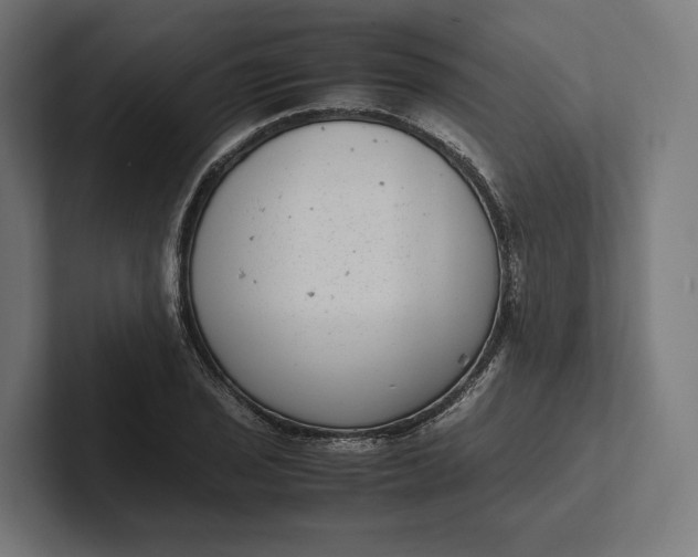 X0000101991029200808011057