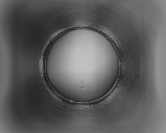 X0000101991030200808011057