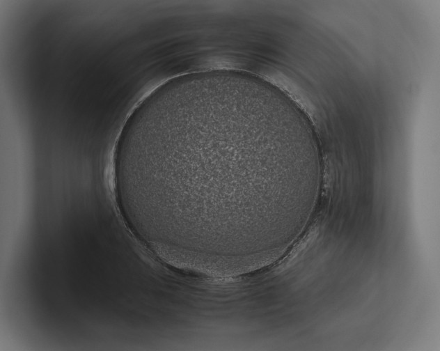 X0000101991031200808011057