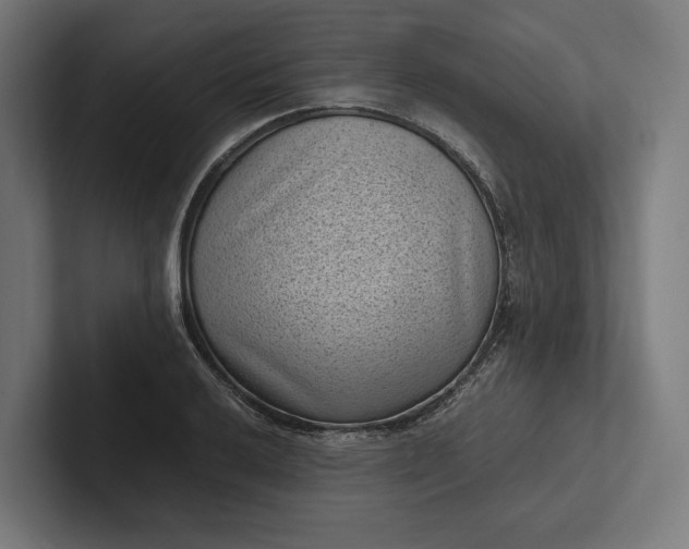 X0000101991032200808011057