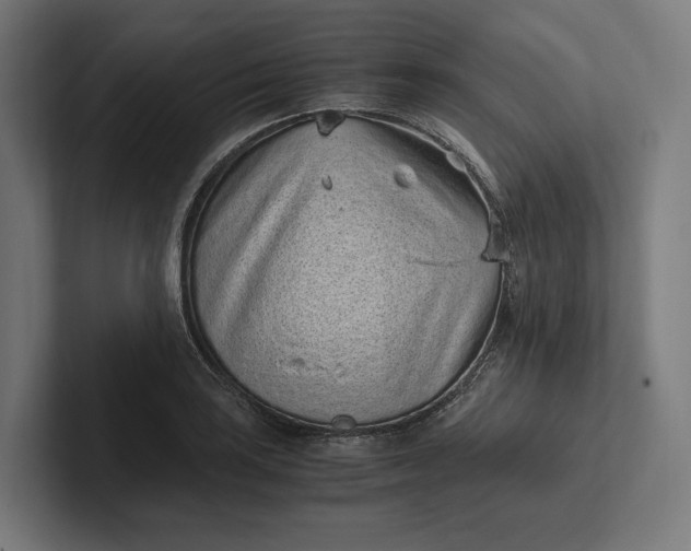 X0000101991035200808011057