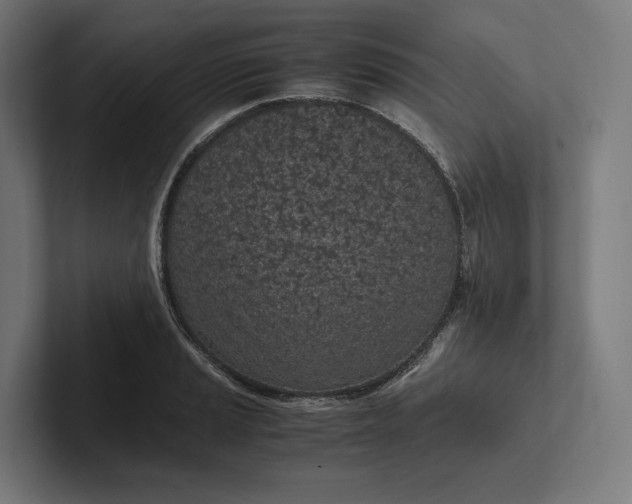 X0000101991037200808011057