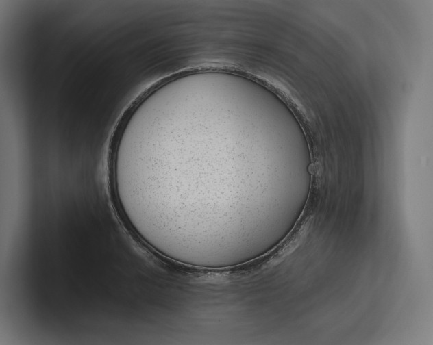 X0000101991038200808011057