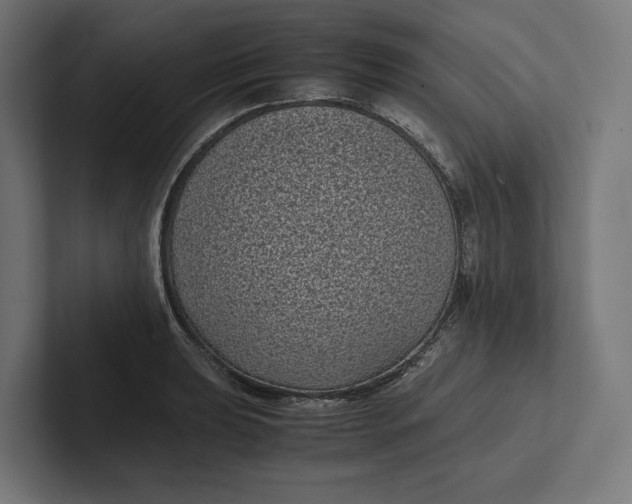 X0000101991039200808011057