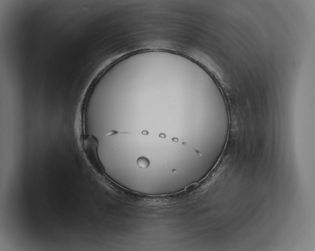 X0000101991040200808011057