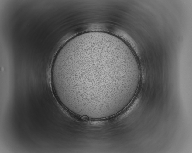 X0000101991041200808011057