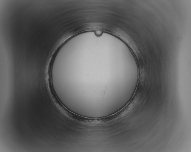 X0000101991042200808011057