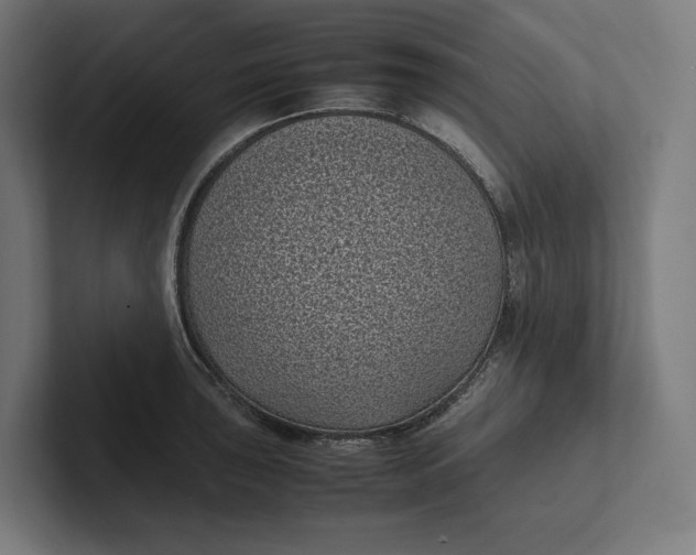 X0000101991043200808011057