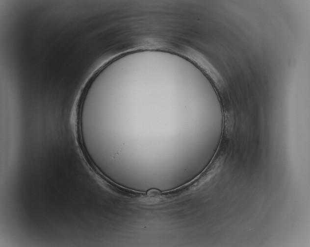 X0000101991046200808011057