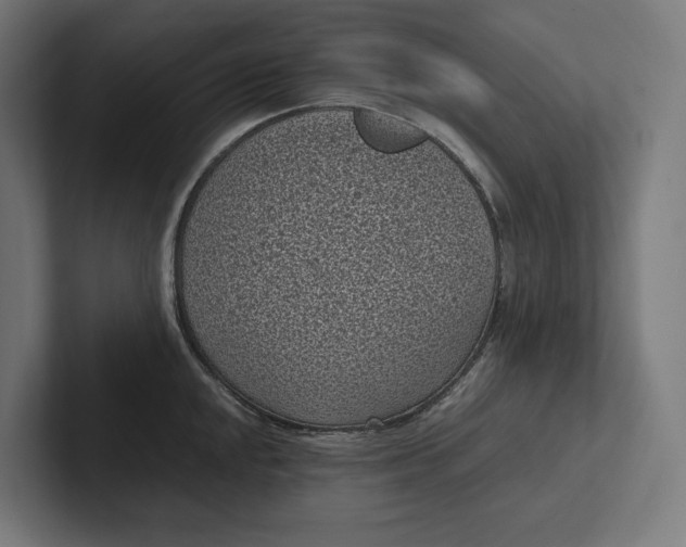 X0000101991048200808011057