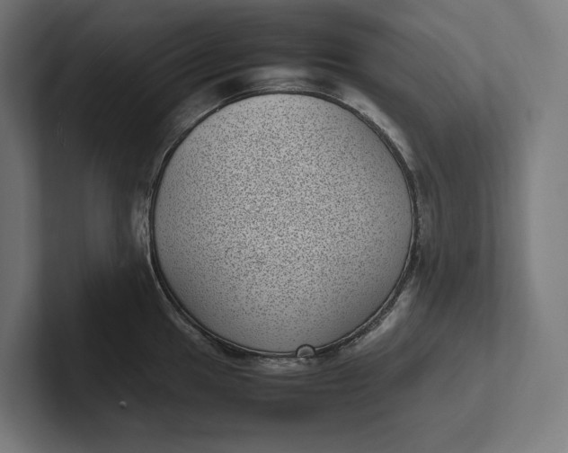 X0000101991049200808011057