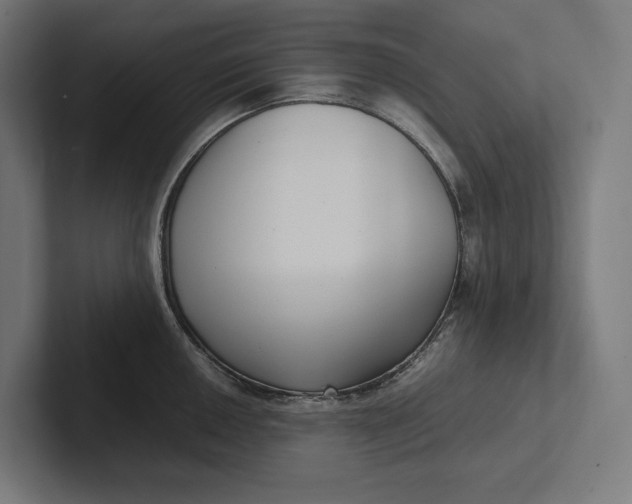 X0000101991050200808011057