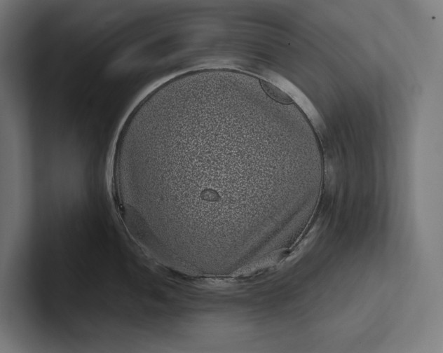 X0000101991052200808011057