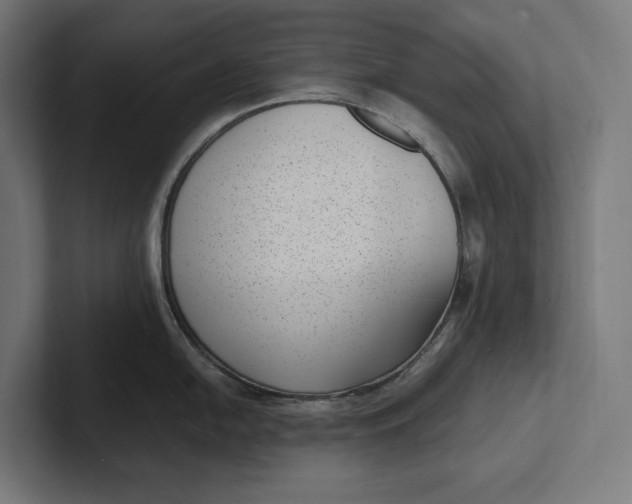 X0000101991054200808011057