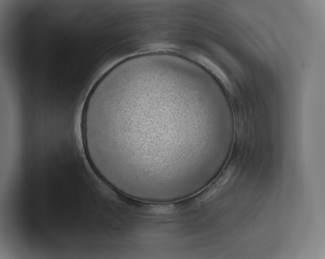 X0000101991055200808011057