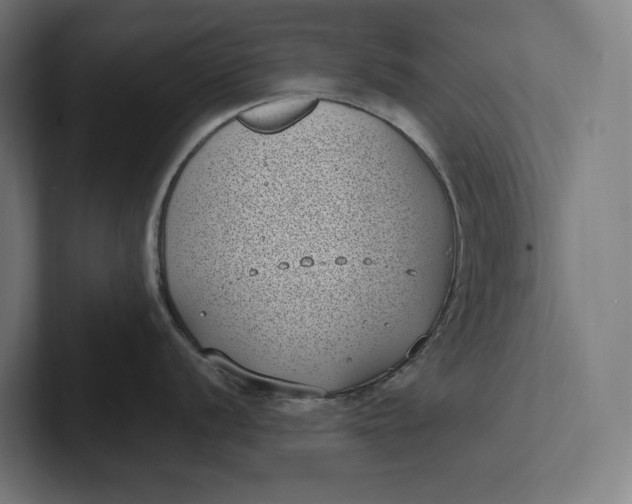 X0000101991056200808011057