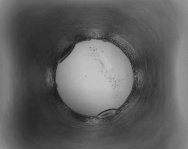 X0000101991058200808011056