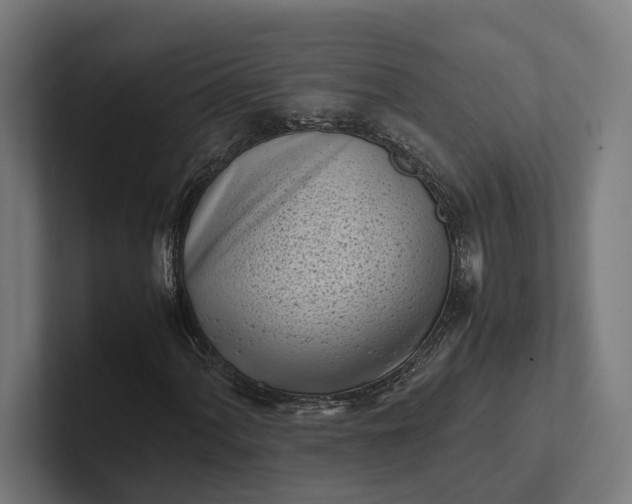 X0000101991060200808011056