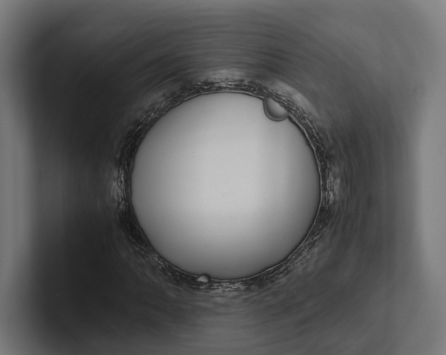 X0000101991062200808011056