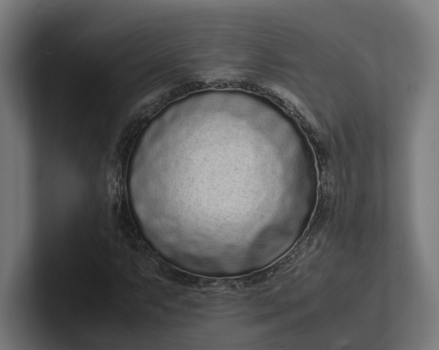 X0000101991063200808011056