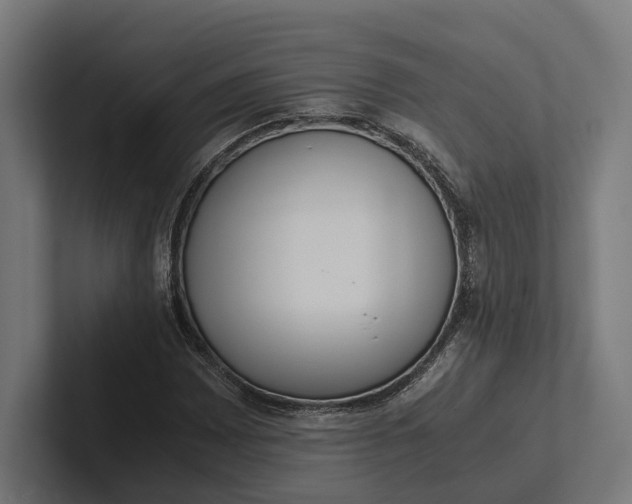 X0000101991065200808011056