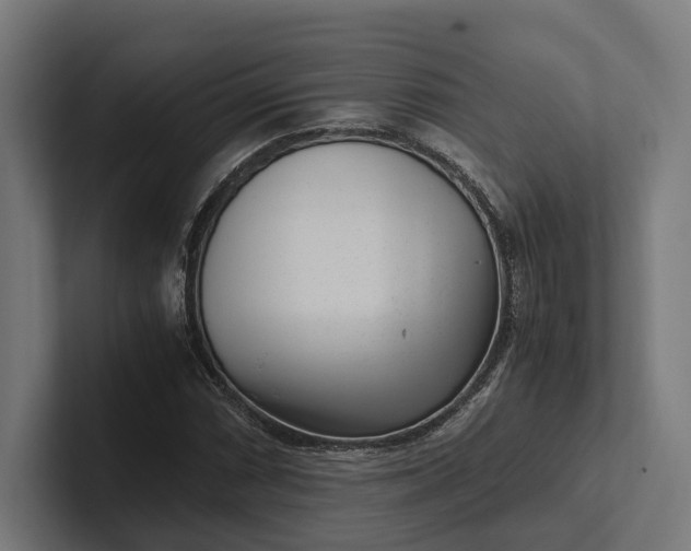 X0000101991066200808011056