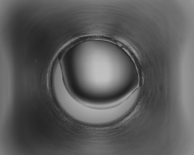 X0000101991069200808011056