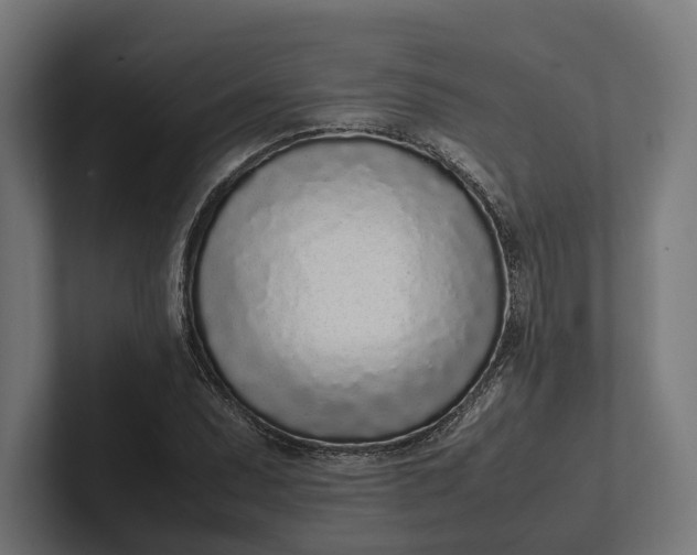 X0000101991071200808011056