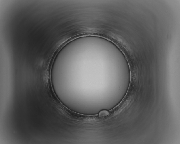 X0000101991073200808011056