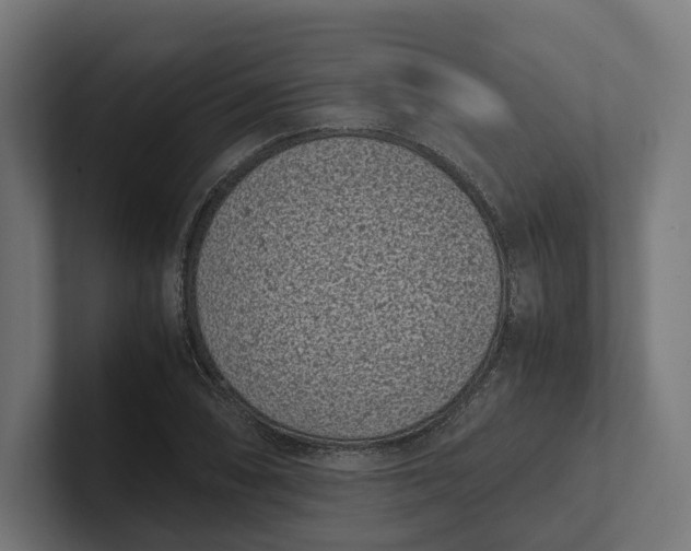 X0000101991074200808011056