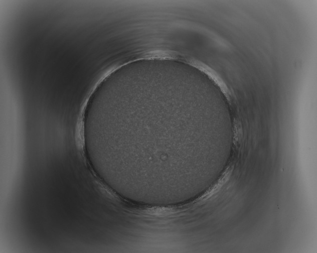 X0000101991075200808011056