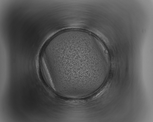 X0000101991077200808011056