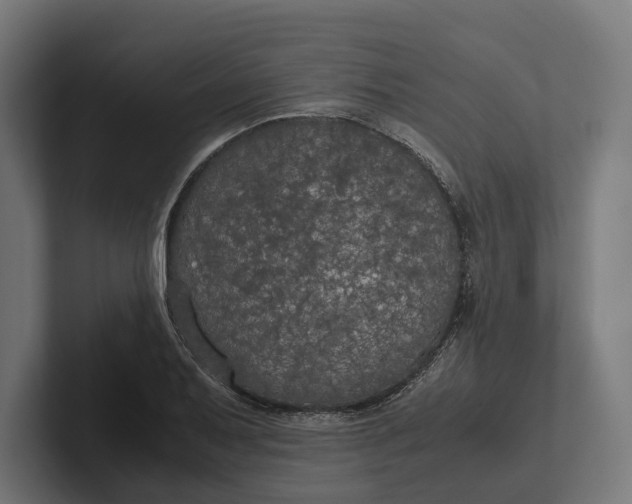 X0000101991079200808011056