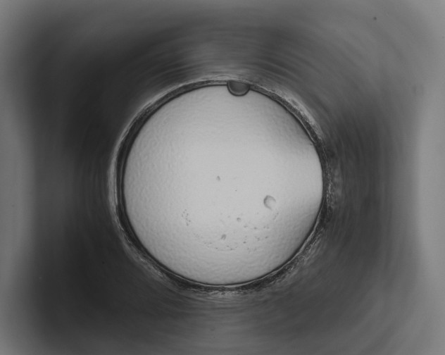 X0000101991080200808011056