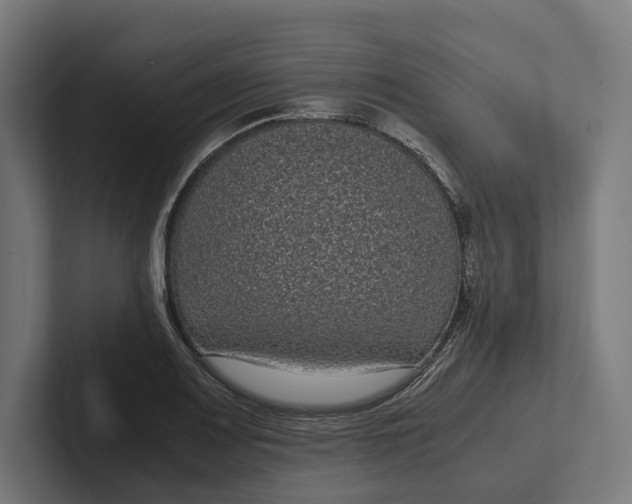 X0000101991083200808011056