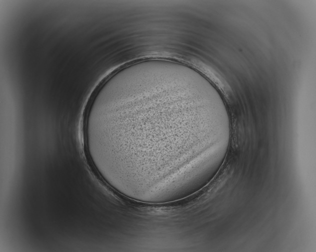 X0000101991084200808011056