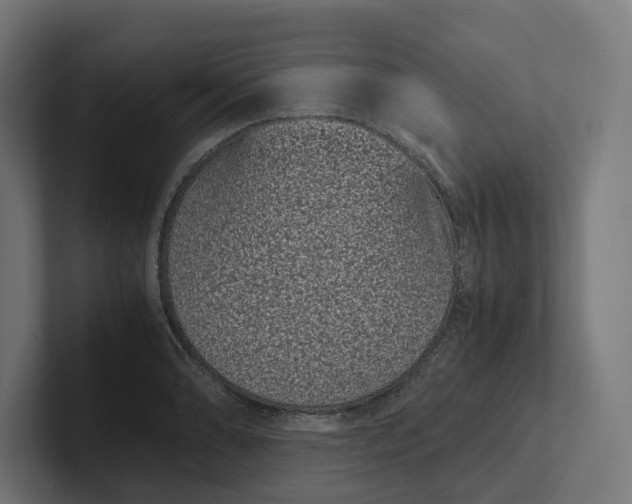 X0000101991086200808011056