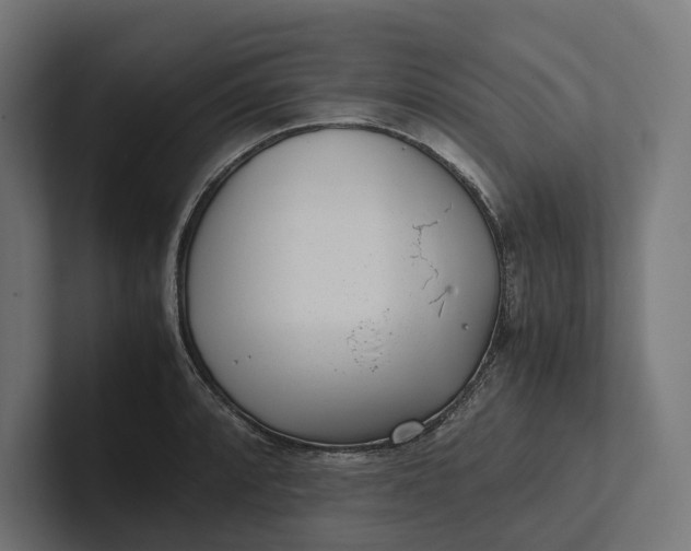 X0000101991088200808011056