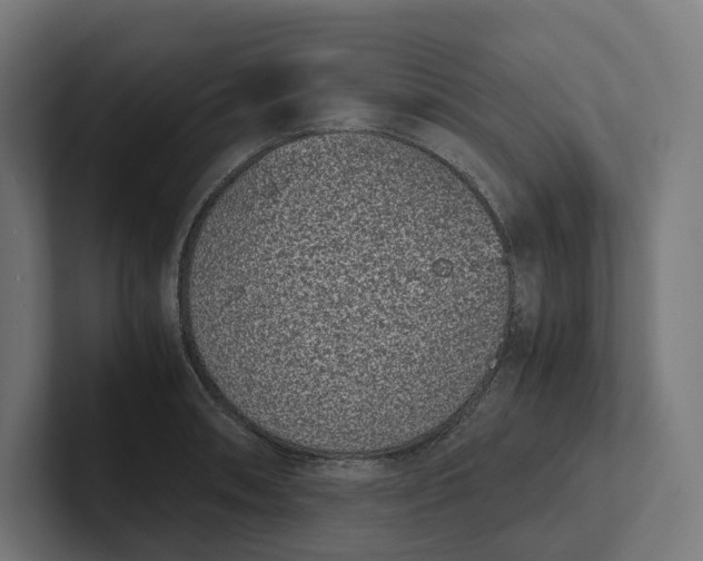 X0000101991090200808011056