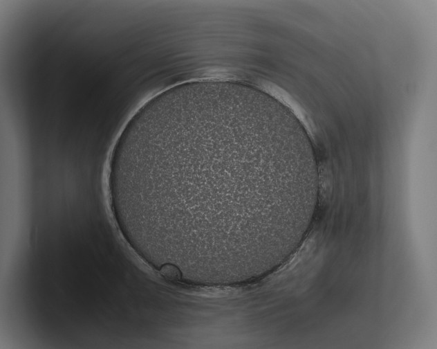 X0000101991091200808011056