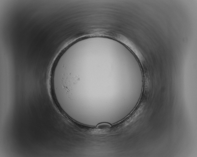 X0000101991093200808011056