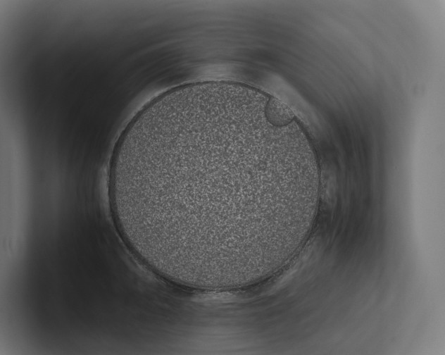 X0000101991094200808011056