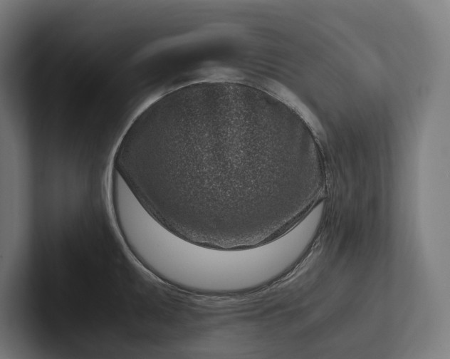 X0000101991095200808011056