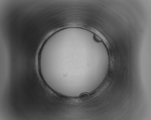 X0000101991096200808011056