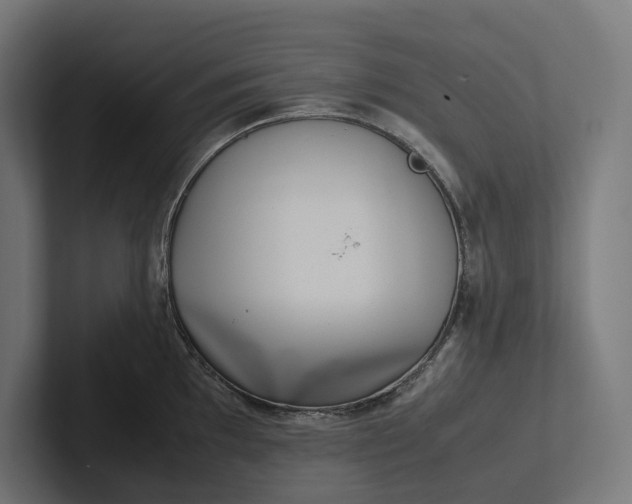 X0000101991097200808011056