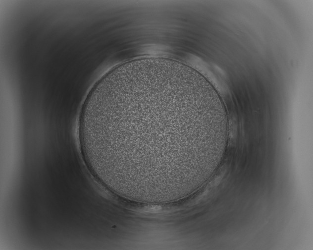 X0000101991098200808011056