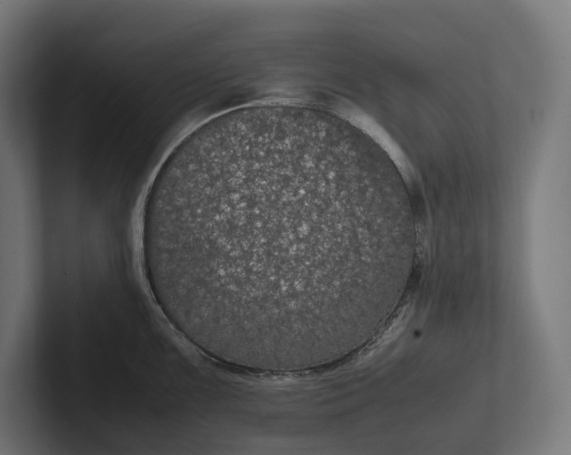 X0000101991099200808011056