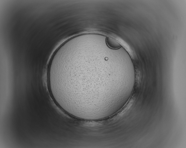 X0000101991100200808011056