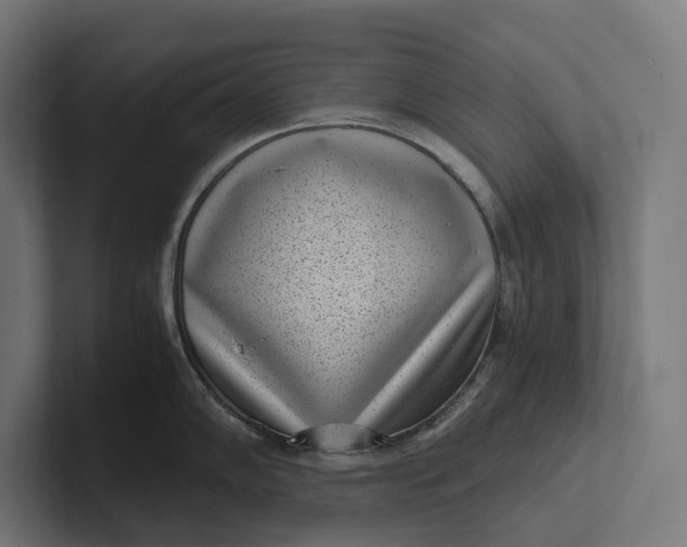 X0000101991102200808011056